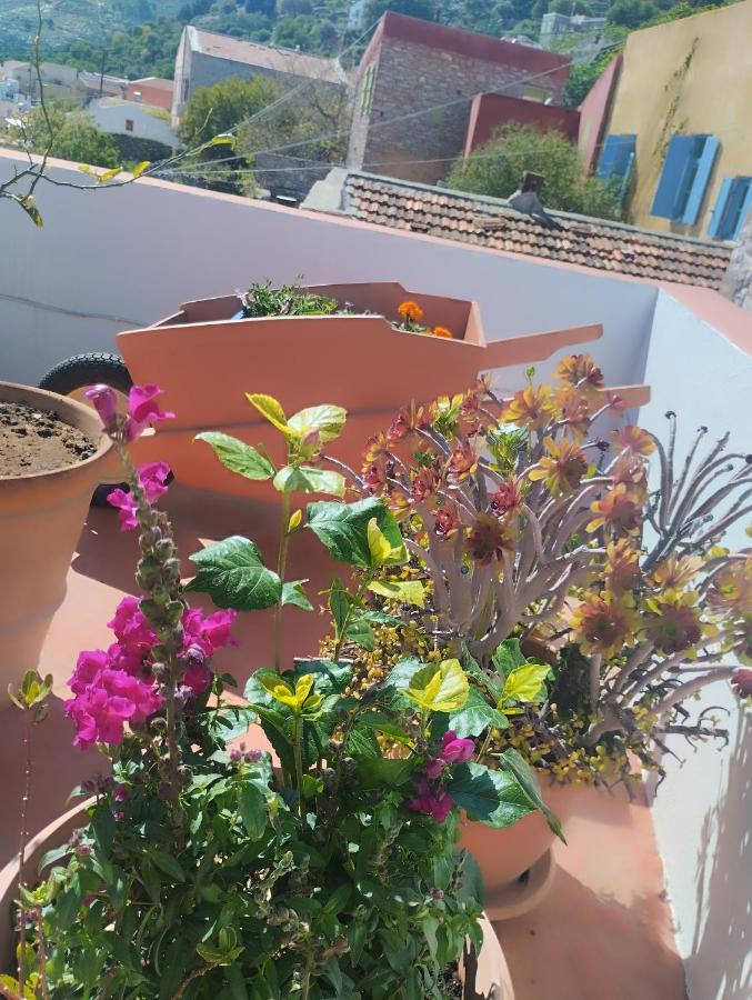 סימי Sokratis Apartments חדר תמונה